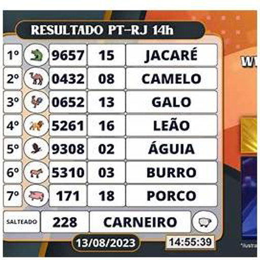 Jogo do Bicho do Dia 13